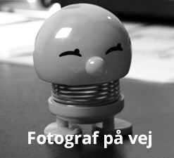 HeCaRegnskab_190729_hoptimist_medar_fotos_